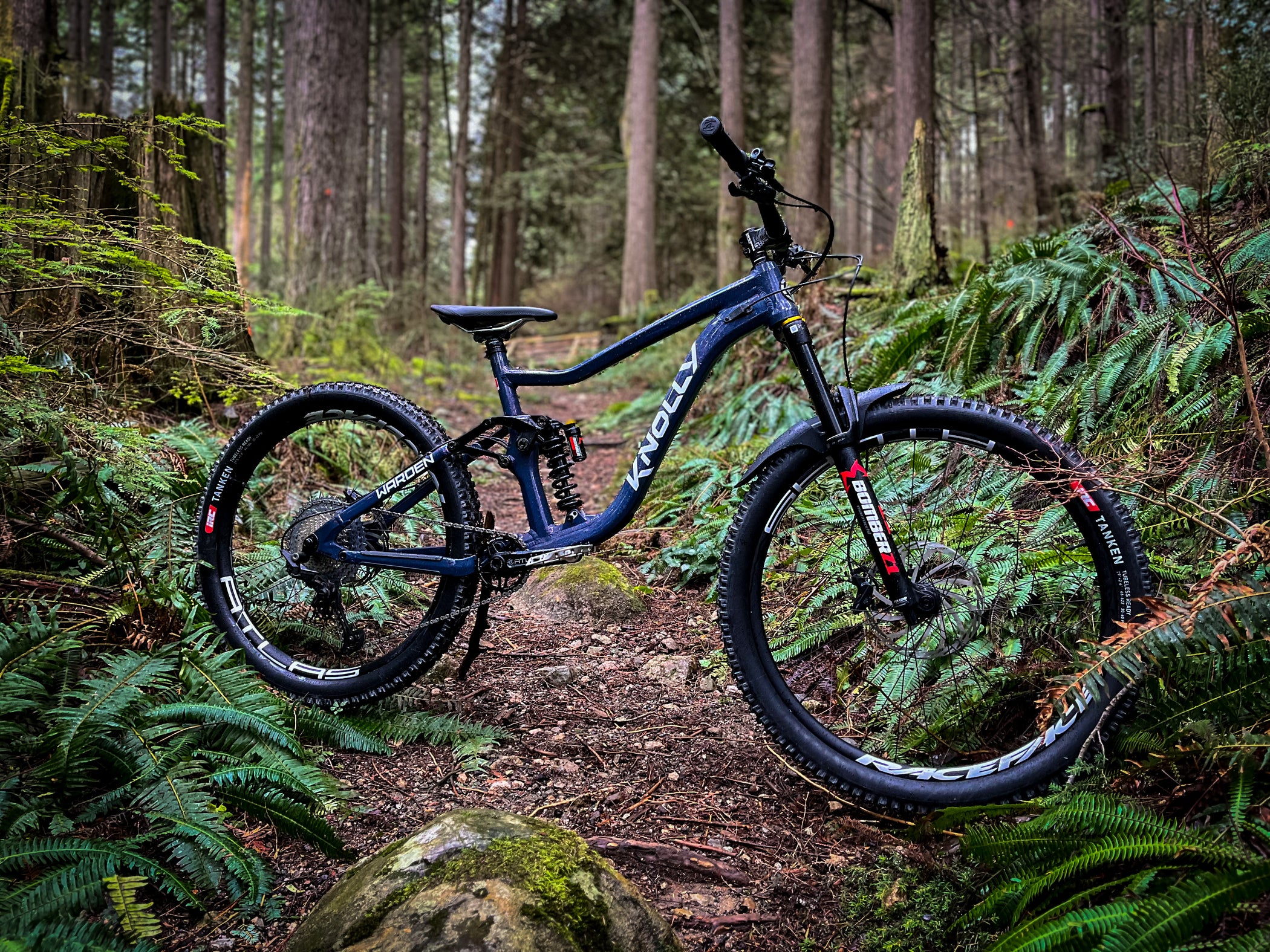 Knolly discount downhill bike